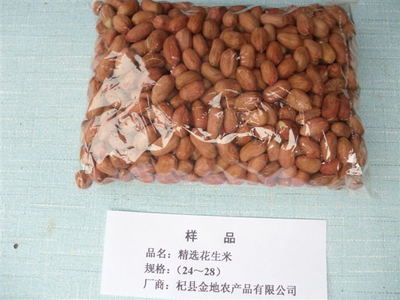 精選花生米樣品規格（24－28）