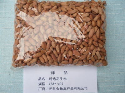 精選花生米樣品規格（38－40）
